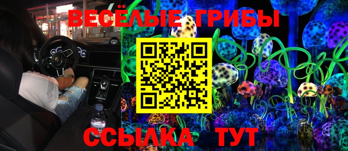 Галлюциногенные грибы мицелий Гай